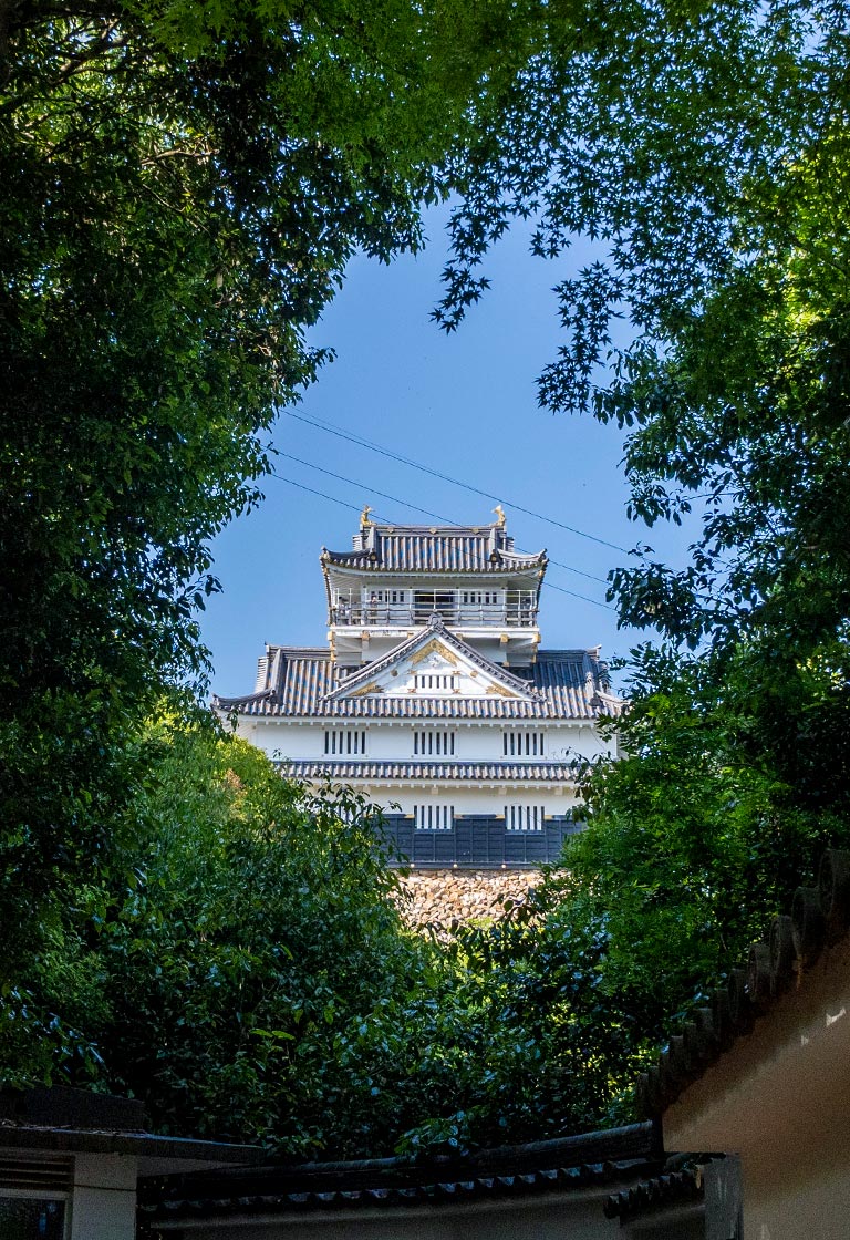 ぎふ金華山ロープウェー | 岐阜城やリス村へのアクセスにも